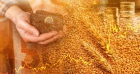 International Trade - Current State & The Rise of Emerging Markets